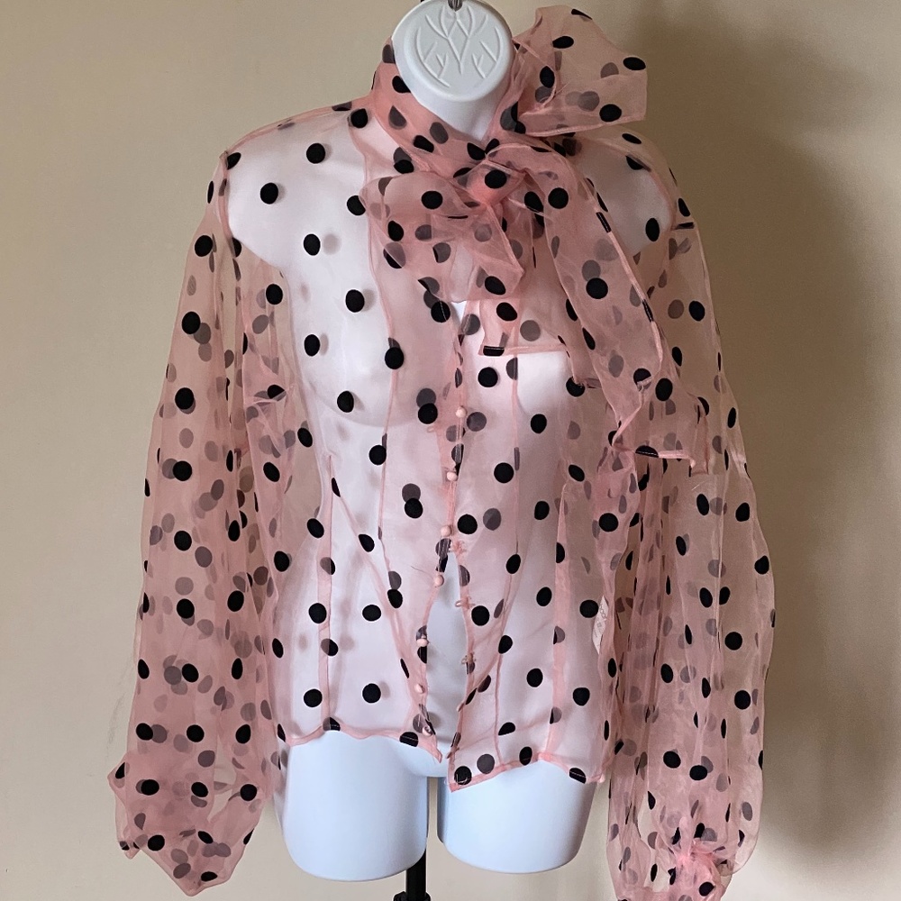 Blush Bowtie Organza Blouse with Black Polka Dots